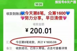 株洲为什么选择专业追讨公司来处理您的债务纠纷？